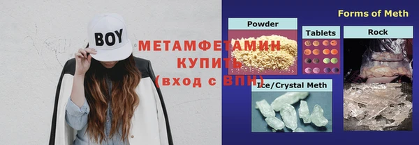 хмурый Аркадак