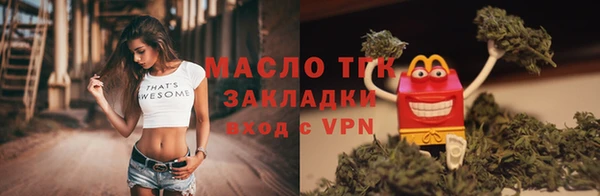хмурый Аркадак