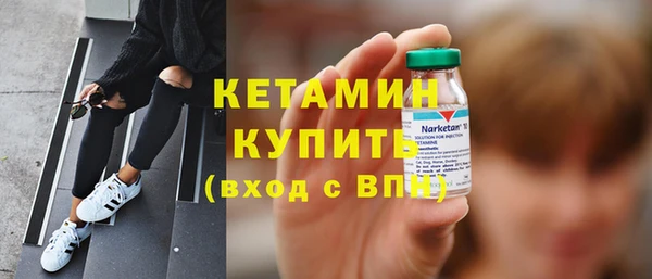 хмурый Аркадак
