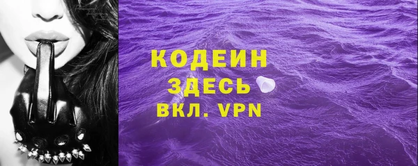 хмурый Аркадак