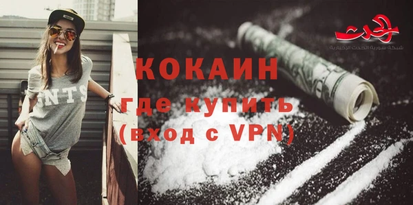 хмурый Аркадак