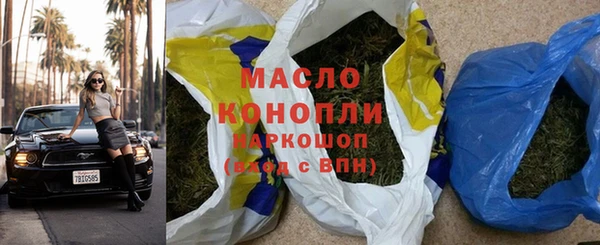 хмурый Аркадак
