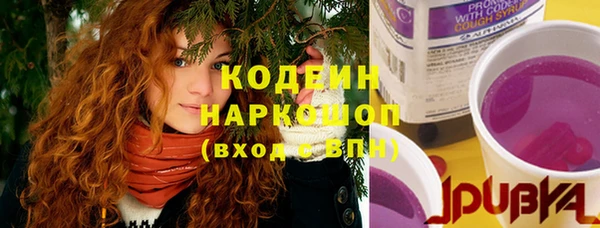 хмурый Аркадак