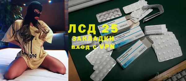 хмурый Аркадак