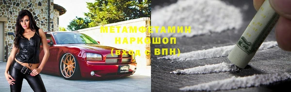 хмурый Аркадак