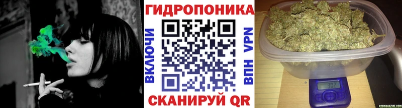 Канабис ГИДРОПОН  кракен зеркало  Можга 